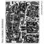2023 Paul Dunmall Ensemble - It's a Matter of Fact {Discus Music}
