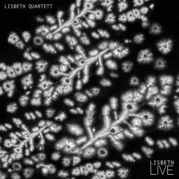 2015 Lisbeth Quartett - Lisbeth (Live) {Traumton 4629} [16-44,1]
