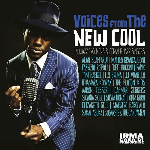 2013 VA - Voices from the New Cool {Irma} [16-44,1]