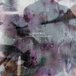 2014 Indigo Mist (Cuong Vu, Richard Karpen, Luke Bergman, Ted Poor) - That the Days Go By & Never Come Again [CD]