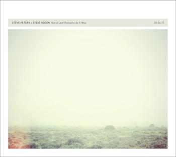 (Sound Art, Abstract, Experimental, Ambient, 12k) Steve Peters &amp; Steve Roden - Not a Leaf Remains As It Was - 2012, FLAC (tracks+.cue), lossless