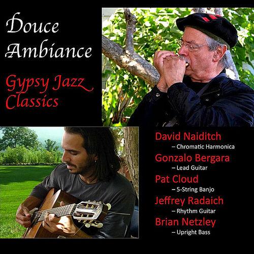 2012 David Naiditch, Gonzalo Bergara - Douce Ambiance Gypsy Jazz Classics {David Naiditch} [16-44,1]