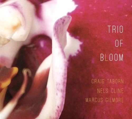 2025 Craig Taborn, Nels Cline, Marcus Gilmore - Trio of Bloom [CD]