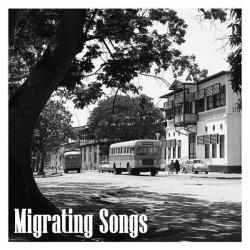 2023 Niclas Knudsen Trio - Migrating Songs {NK Music} [24-96]