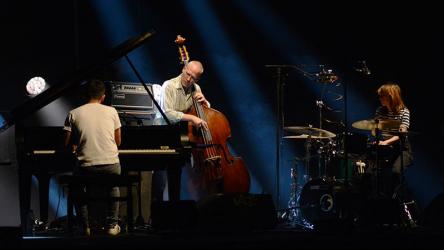 2013 Avishai Cohen Trio - at Jazz Sous les Pommiers [HDTV 1080p]