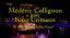 2013 Mederic Collignon - A La Recherche Du Roi Frippe (Joue King Crimson) [HDTV 1080p]
