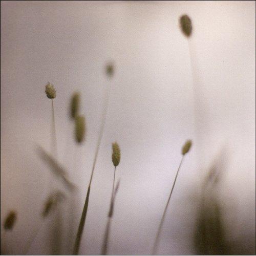 2008 Peter Broderick - Float [CD]