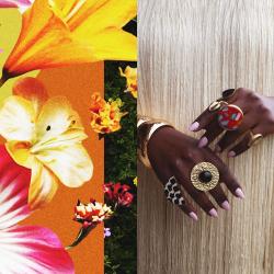 2026 Somi - What Does It Take to Bloom {Salon Africana} [24-96]