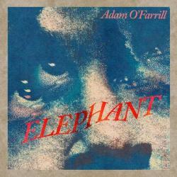 2026 Adam O'Farrill - Elephant {Out of Your Head} [24-96]