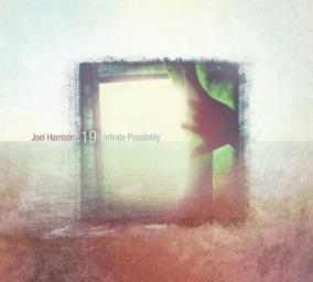 2013 Joel Harrison - Infinite Possibility [CD]