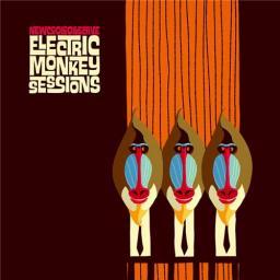2014 New Cool Collective - Electric Monkey Sessions (2014) [MP3 [CD]