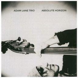 (Free Improvisation / Avant-Garde Jazz) [CD] Adam Lane (Darius Jones, Vijay Anderson) - Absolute Horizon - 2013, FLAC (tracks+.cue), lossless