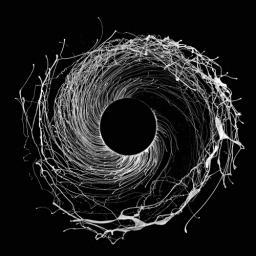 2013 Dawn of Midi - Dysnomia [CD]