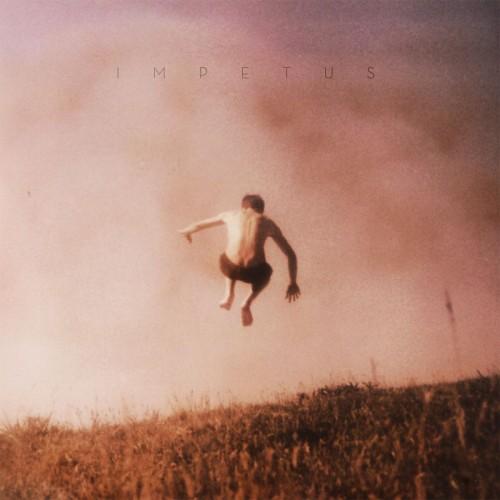 (Modern Classical, Electronic) Sebastian Plano - Impetus - 2013, FLAC (tracks), lossless (Modern Classical, Electronic) Sebastian Plano - Impetus - 2013, FLAC (tracks), lossless