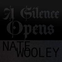 2026 Nate Wooley - A Silence Opens {Out Of Your Head} [24-96]