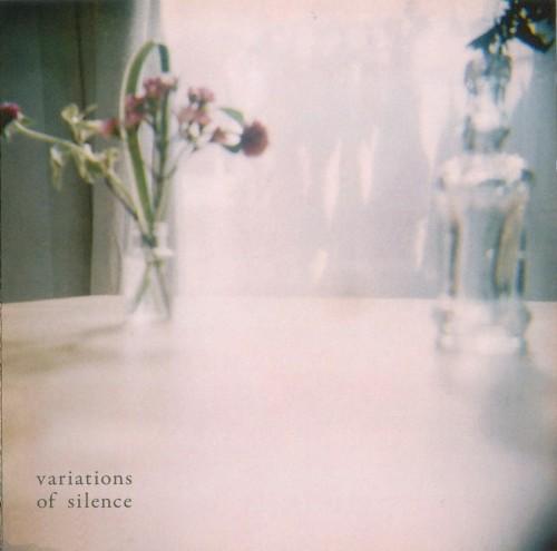 (Modern Classical, Minimalism, Ambient, Electronic) [CD] VA - Variations Of Silence - 2009, FLAC (tracks+.cue), lossless