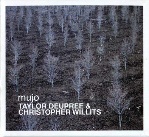 (Abstract, IDM, Ambient) Taylor Deupree + Christopher Willits - 2004 - Mujo, WAVPack (image+.cue), lossless