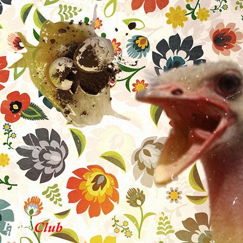 (Fusion / Avant-Prog) [WEB] SOT - Kogel Mogel - 2016, FLAC (tracks), lossless