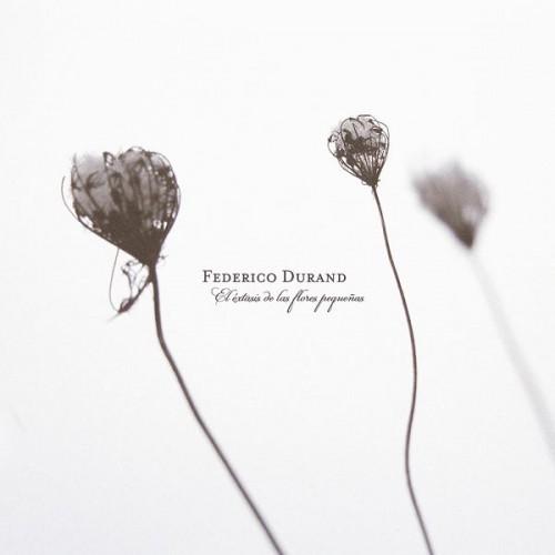 (Ambient, Acoustic, Modern Classical, Field Recordings ) Federico Durand - El Extasis De Las Flores Pequenas - 2011, FLAC (tracks+.cue), lossless (Ambient, Acoustic, Modern Classical, Field Recordings ) Federico Durand - El Extasis De Las Flores Pequenas - 2011, FLAC (tracks+.cue), lossless
