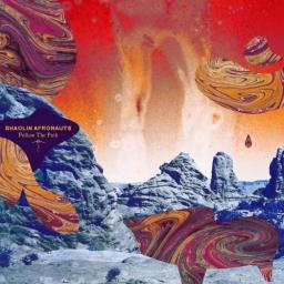 2014 Shaolin Afronauts - Follow the Path [CD]
