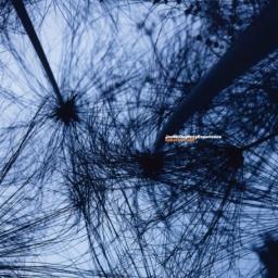 2002 Joe McDuphrey - Experience (Yesterdays New Quintet) {Prod by Madlib} [CD]