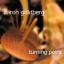 1999 Aaron Goldberg - Turning Point {J Curve} [CD]