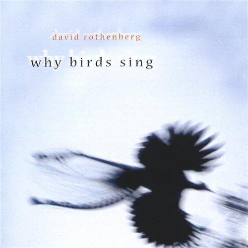 (Ambient / Electroacoustic / Soundscapes) David Rothenberg - Why Birds Sing - 2005, FLAC (tracks+.cue), lossless