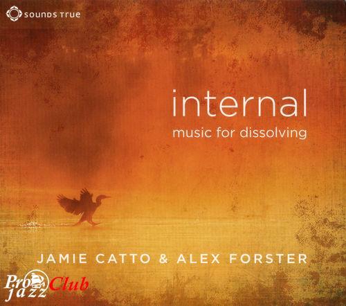 (New Age, Worldbeat) Jamie Catto &amp; Alex Forster - Internal - Music For Dissolving - 2013, FLAC (tracks+.cue), lossless