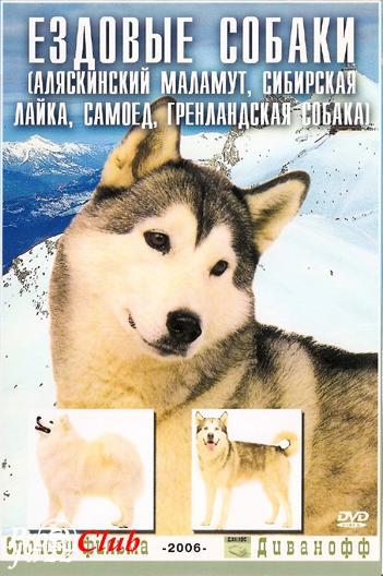 (New Age) Medwyn Goodall - Emergence - 1987, APE (image+.cue), lossless