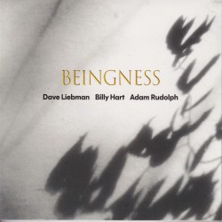 2026 Dave Liebman, Billy Hart, Adam Rudolph - Beingness {Meta} [24-48]